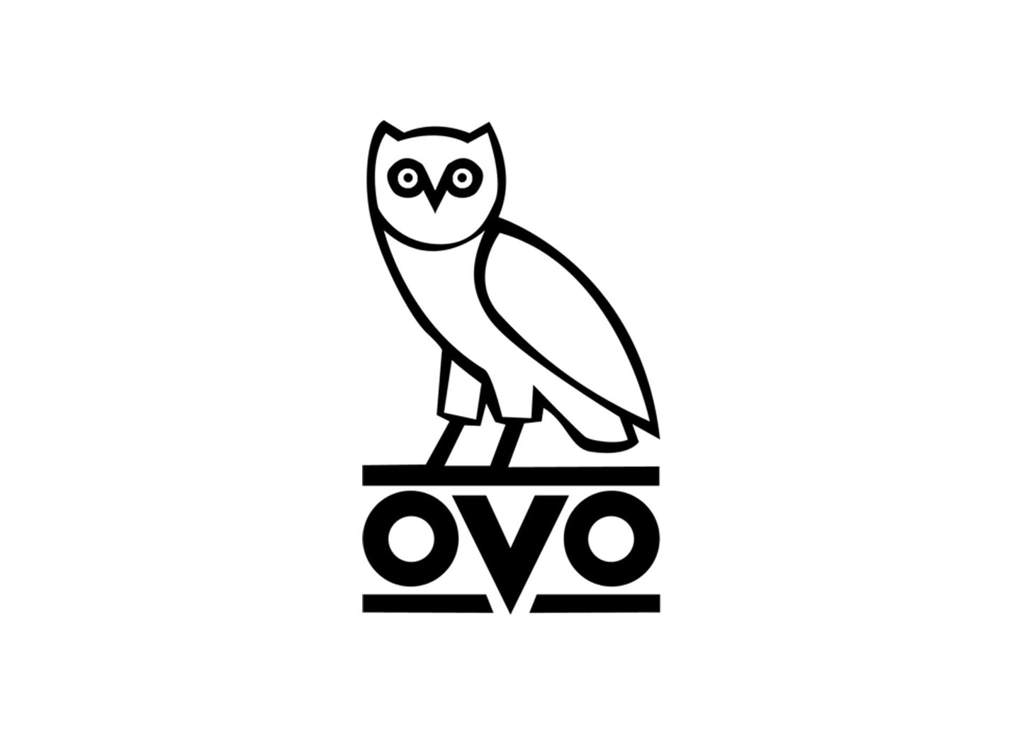 OWL LOGO VINYL PAINTING SHOE STENCILS